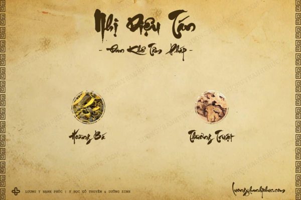 Bài thuốc Nhị diệu tán
